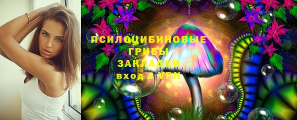 хмурый Балахна